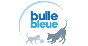 Bulle bleue logo