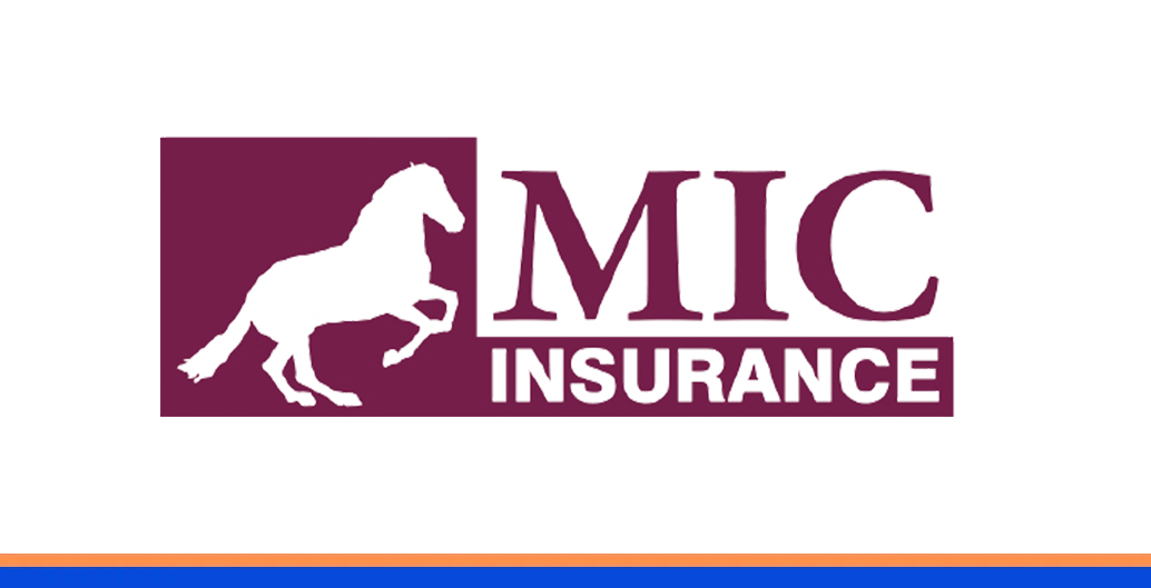 Millenium logo