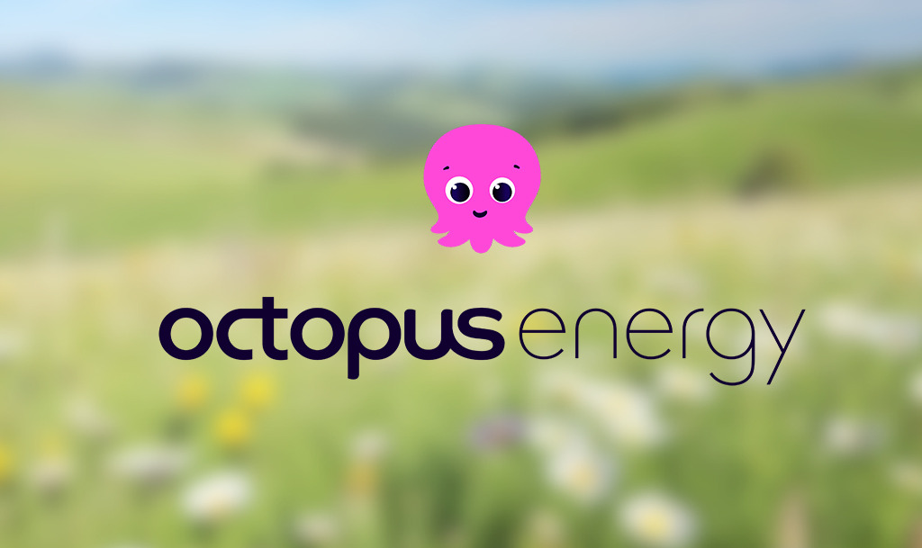 Octopus energy