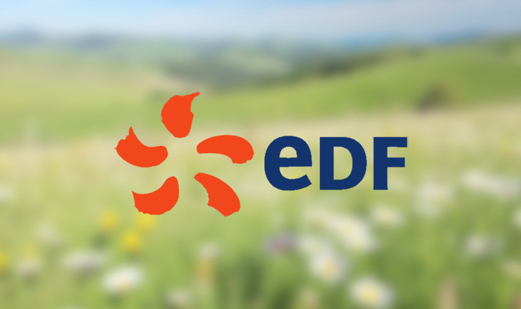 edf gaz
