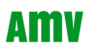 AMV assurance auto
