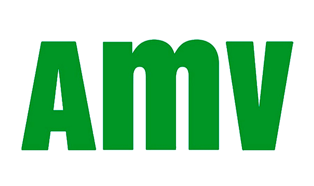 AMV assurance auto