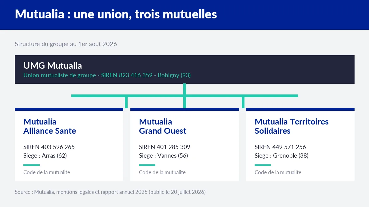 Schéma du groupe Mutualia : l'UMG et ses trois mutuelles Alliance Santé, Grand Ouest et Territoires Solidaires